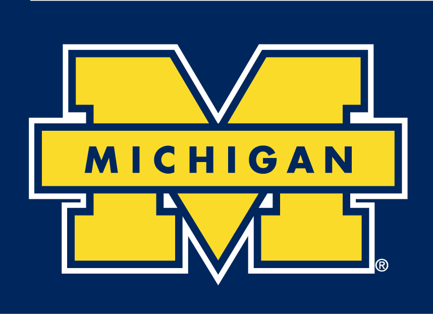 Michigan Wolverines 1996-Pres Secondary Logo t shirts DIY iron ons v2